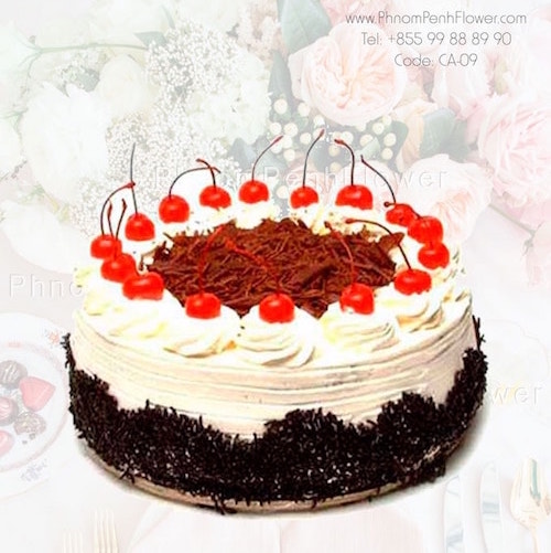Chocolate with strawberry cake