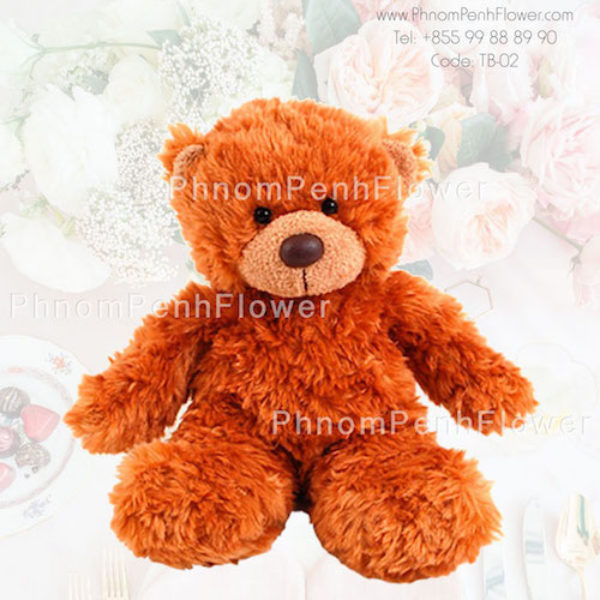 Big Teddy Bear Gift - Tb-02