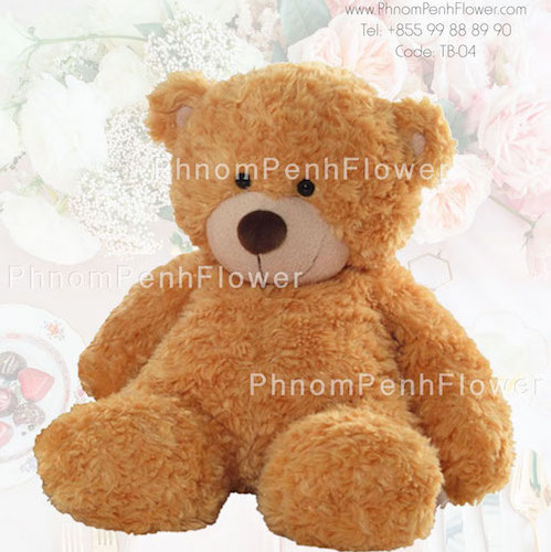TB-04 - Medium Teddy Bear