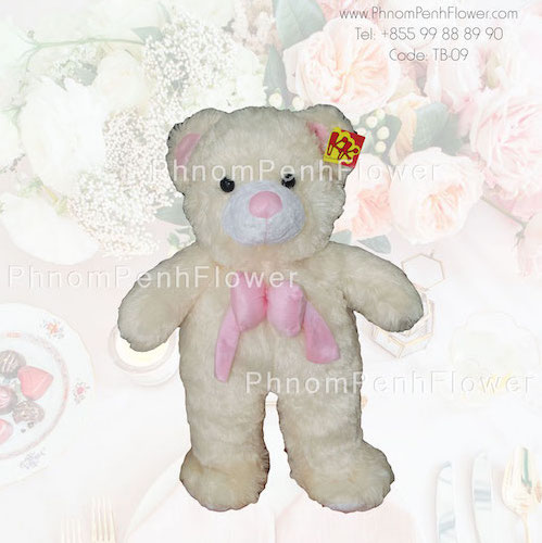 Big Teddy Bear Gift - Tb-09