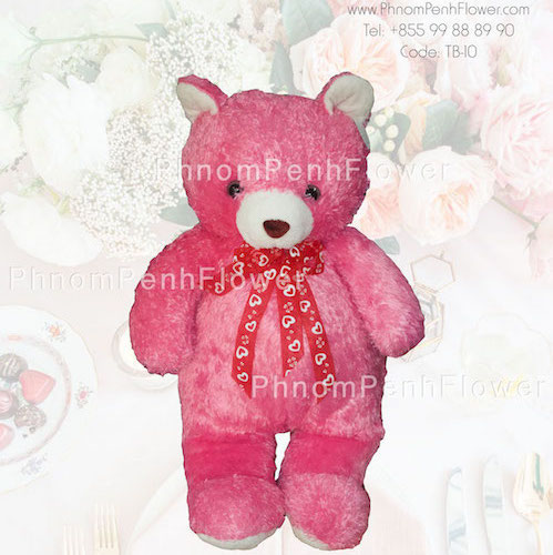 Big Teddy Bear Gift - Tb-10