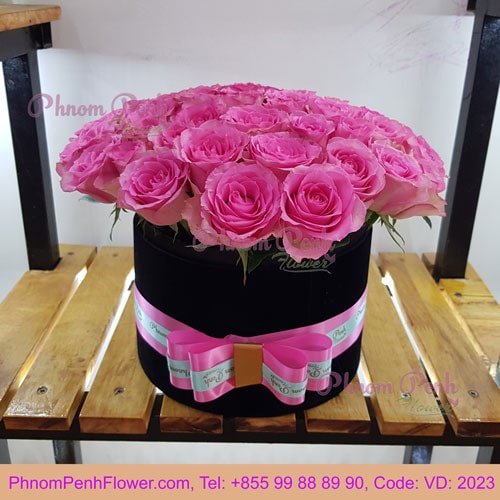 Pink Roses in Round Box - VD - 2023