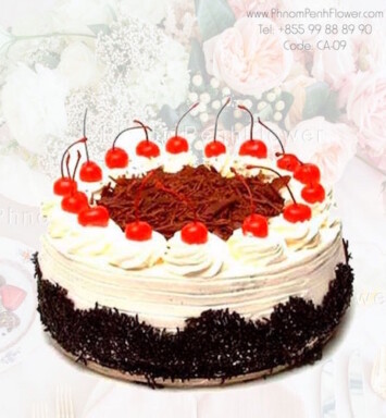 Chocolate with strawberry cake