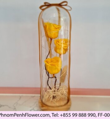 Pastel Red Rose Glass Dome