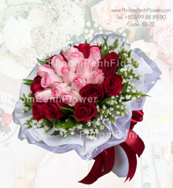 Mixed pink & red 24 roses bouquet – BD-22