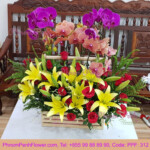 Phalaenopsis orchid mixed with flower basket