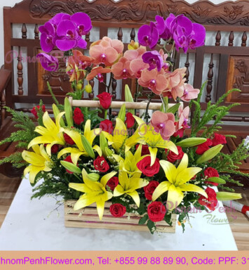 Phalaenopsis orchid mixed with flower basket