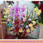 Mixed flower basket with Phalaenopsis plant