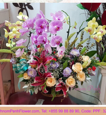 Mixed flower basket with Phalaenopsis plant