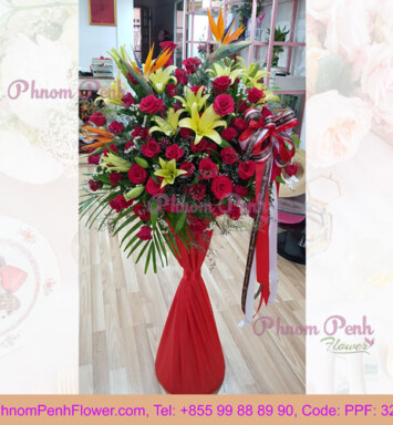 Congratulation for Opening