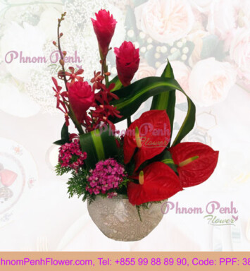 Lucky Spring Chinses New Year