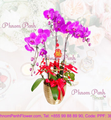 Purple Phalaenopsis Orchid Arrangement