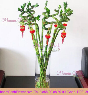 Lucky Bamboo Chinese New Year arrangement