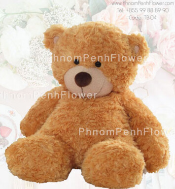 Teddy Bear Gift - Tb-04