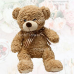 Medium Bear Gift - Tb-06