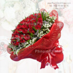 Will you marry me? – VD-79